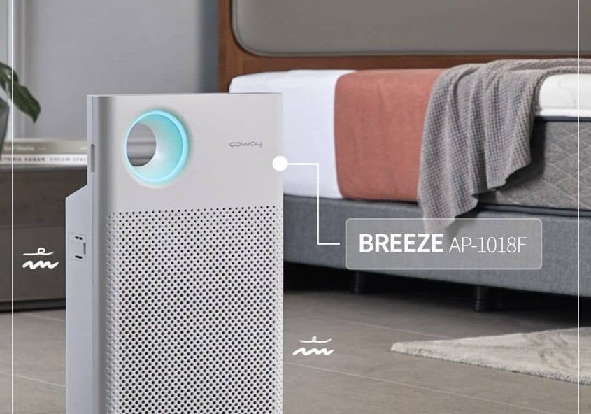 Fresh Breeze like a baby’s breath.

   ...