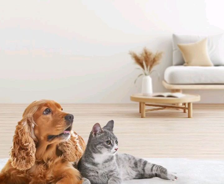 Kamu punya anabul kesayangan di rumah?
Air purifier jadi 'must have' item kamu nih, biar melindungim...