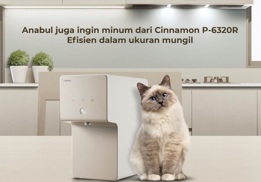 Memiliki anabul tak luput dari menjaga mereka tetap terhidrasi. Eh ternyata Anabul juga penasaran ba...