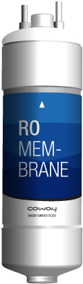 RO Membrane